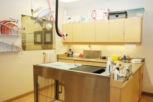 South Burnaby - Surgical Suite